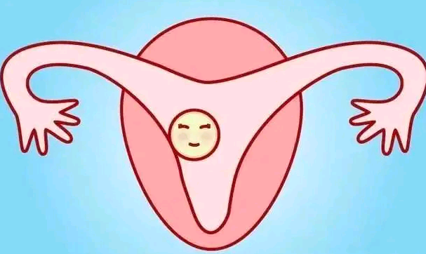 福建哪找代生|子宫内膜异位症与不孕症的关系,福建供卵试管供卵试管生殖中心