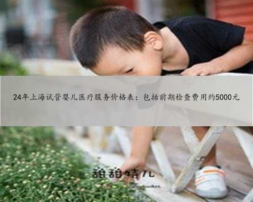 24年上海试管婴儿医疗服务价格表：包括