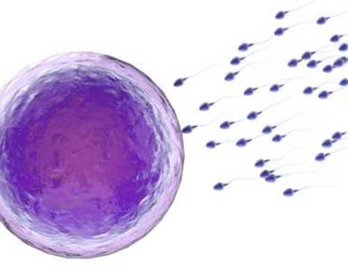 供卵试管花费_做试管捐卵,幼稚*能做试管婴儿吗2023幼稚*做试管*成功试管医院名