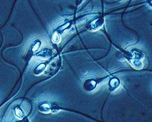 我的供卵试管_做完试管捐卵,广州中山三甲试管婴儿,试管婴儿医院排名找黄浦试