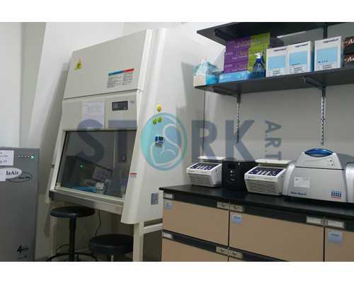 捐卵供卵试管_每代试管费用,广州试管婴做试管婴儿费用，试管前预移植大概多